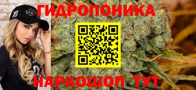 мдма Кингисепп