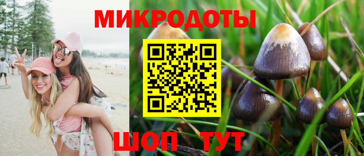 Кудрово  Галлюциногенные грибы MAGIC MUSHROOMS  Вход с VPN 